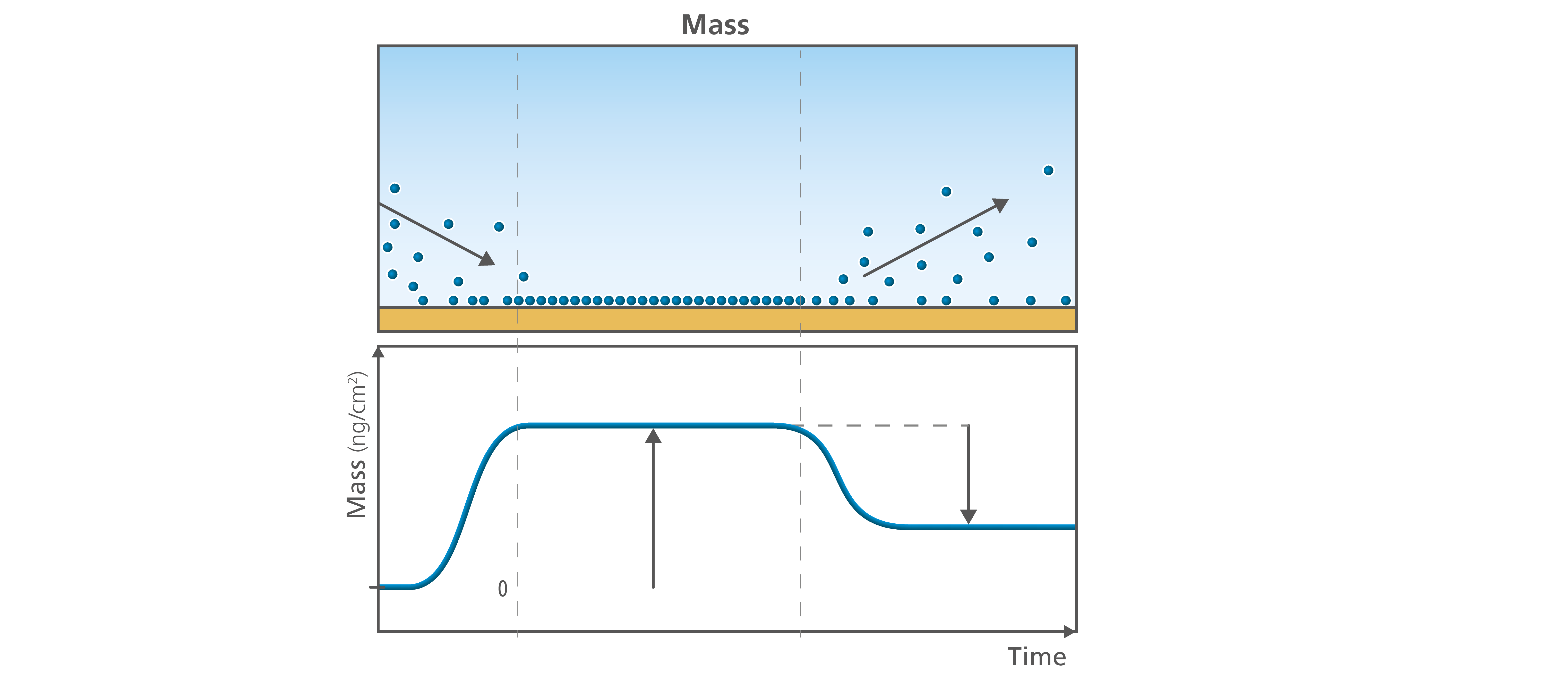 QCMD What information does it offer?